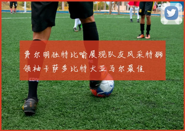 费尔明独特比喻展现队友风采特狮领袖卡萨多比特犬亚马尔最佳