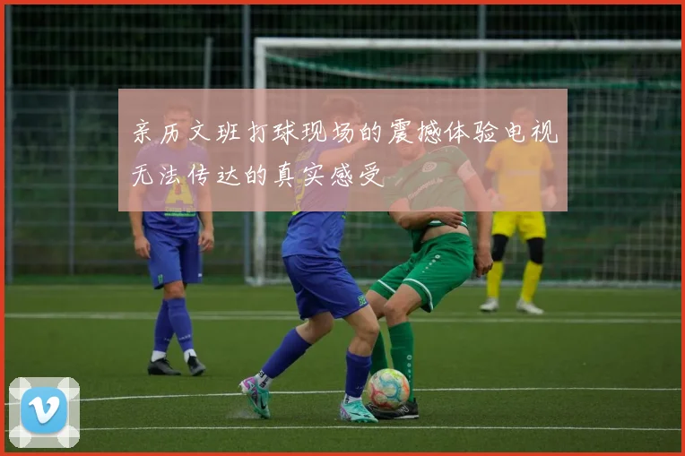 亲历文班打球现场的震撼体验电视无法传达的真实感受