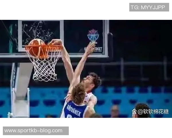 媒体人称申京展现约基奇水准亚历山大实力证明MVP价值 媒体人称申京展现约基奇水准亚历山大实力证明MVP价值